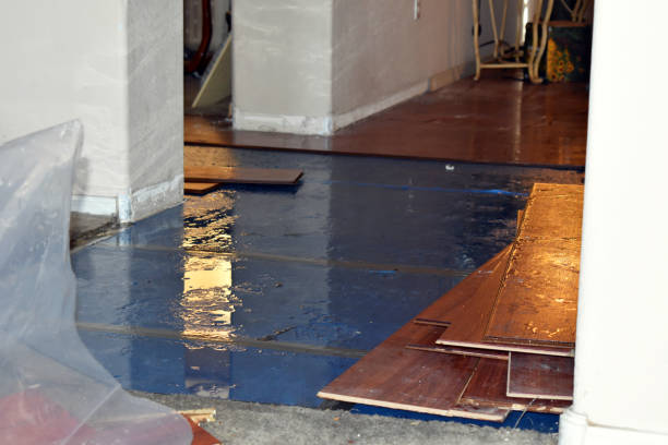 Professional Basement Flood Cleanup technician working in Streeter, ND